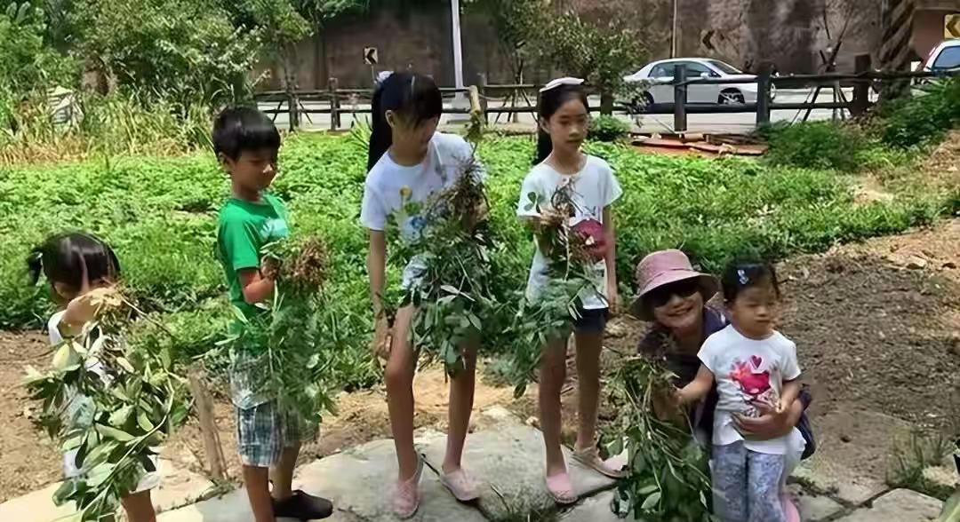 乐鱼体育app-小玥儿开通个人账号!发文求救,晒照思念妈妈,外婆和小S是好友